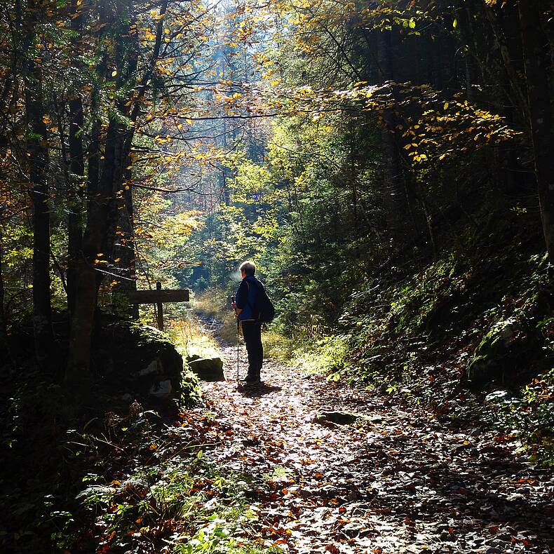 Herbstspaziergang durch den Hajnžgraben, Zell-Pfarre