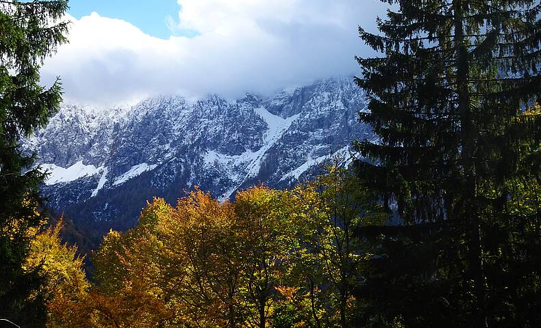 Herbstspaziergang durch den Hajnžgraben, Zell-Pfarre