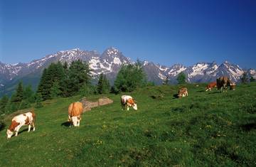 Landschaftsbild