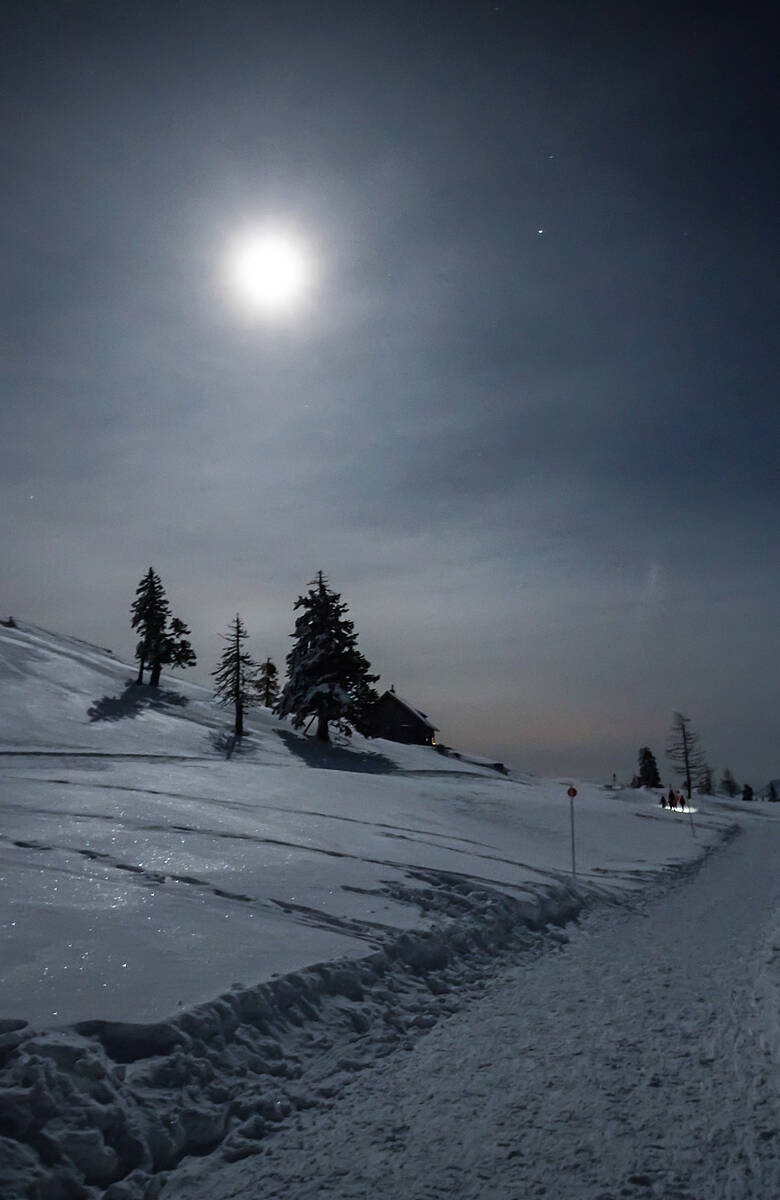 Geführte Vollmond-Schneeschuhwanderung in Kärnten - im Naturpark Dobratsch.