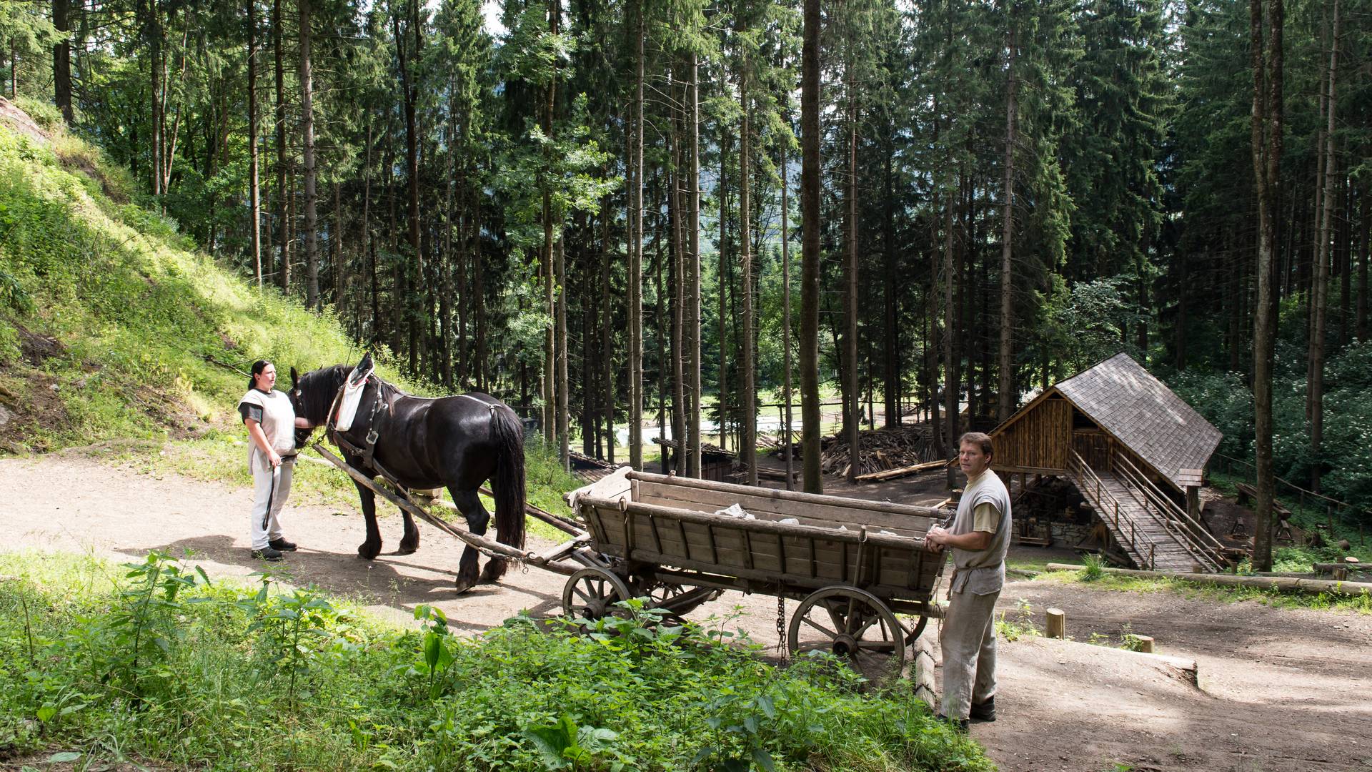 <p>Burgen und Schlösser in Kärnten, Burgbau Friesach Fuhrwerk</p>