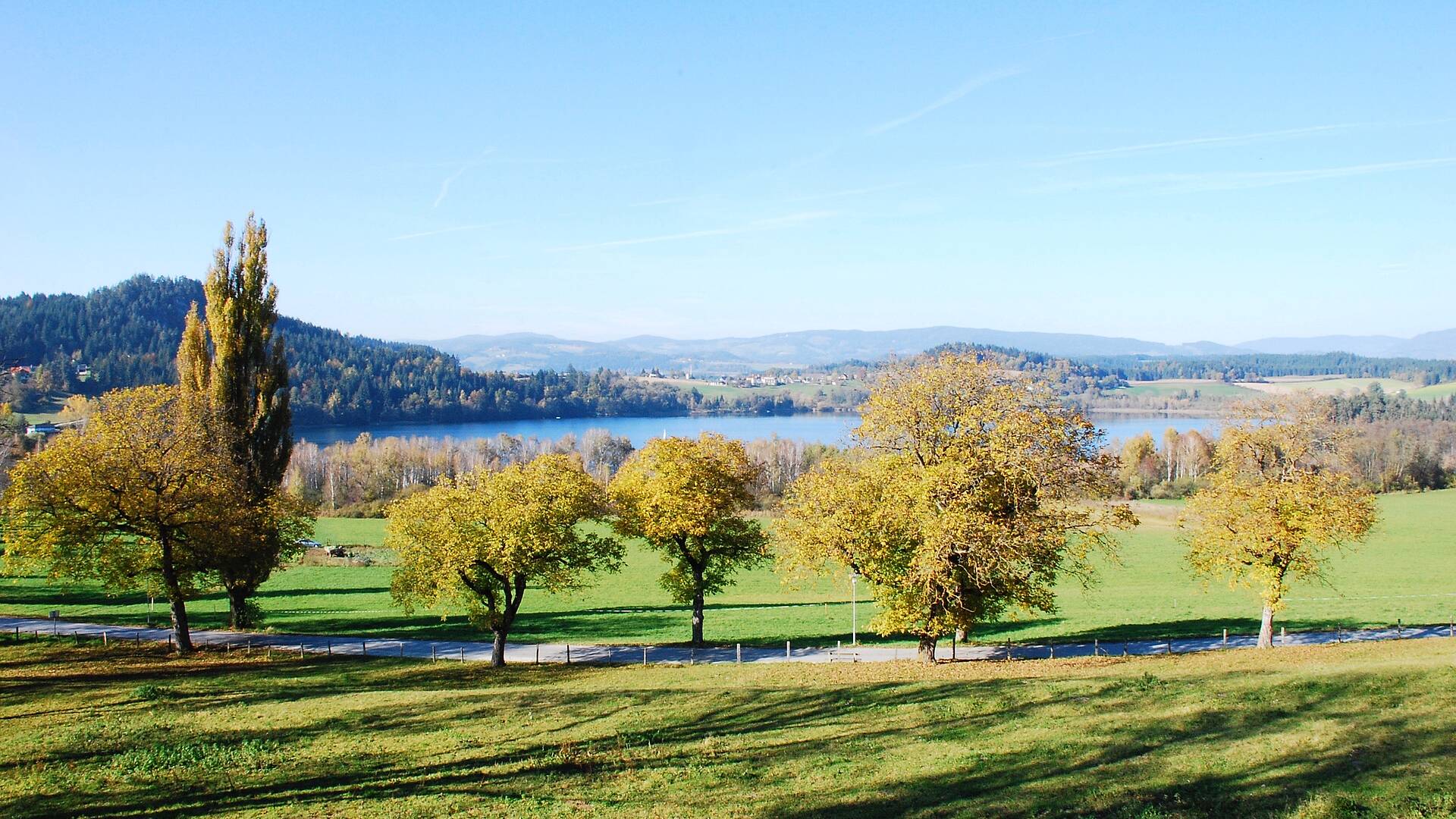 Der Längsee