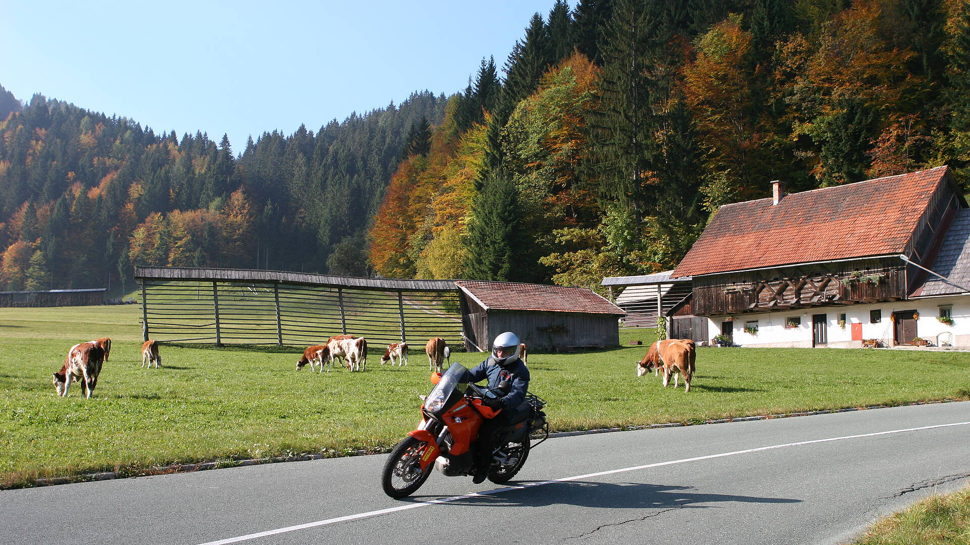 Über die Pokljuka zum Wocheiner See