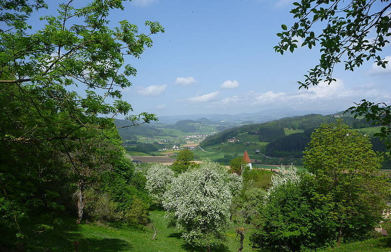 Blick auf das Granitztal im Lavanttal