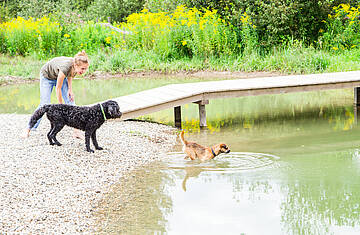 Mit dem Hund am Campingplatz Rosental Roz