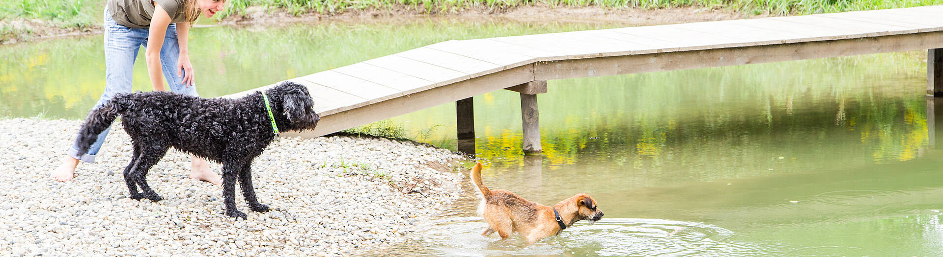 Mit dem Hund am Campingplatz Rosental Roz