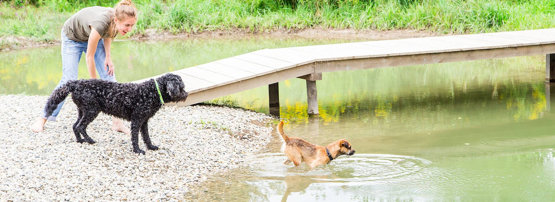 Mit dem Hund am Campingplatz Rosental Roz