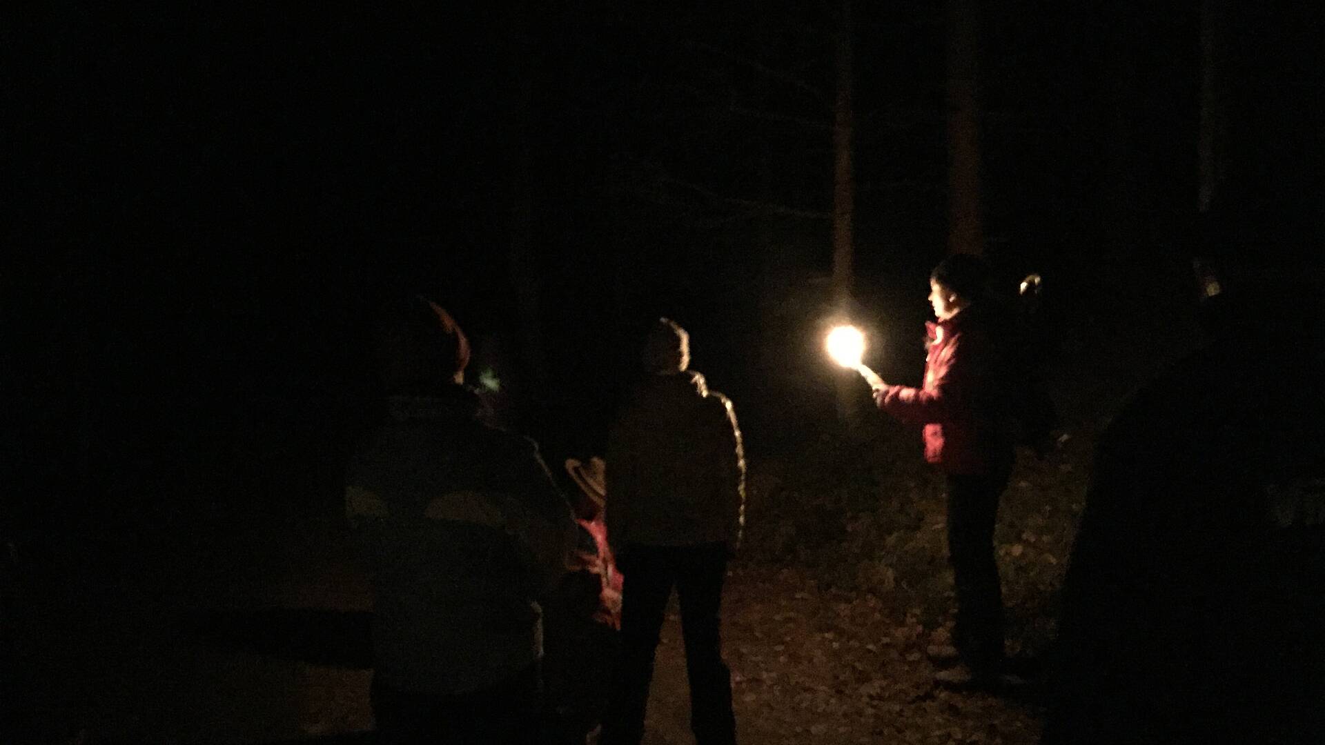 Fackelwanderung am Dobratsch