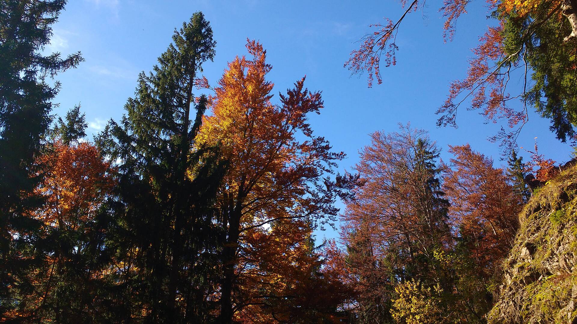 Herbstspaziergang durch den Hajnžgraben, Zell-Pfarre