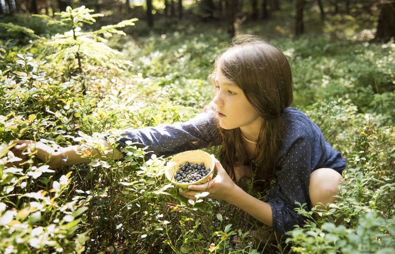 Geschmack der Kindheit - Naturgut Lassen Beeren pflücken
