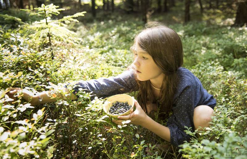 Geschmack der Kindheit - Naturgut Lassen Beeren pflücken