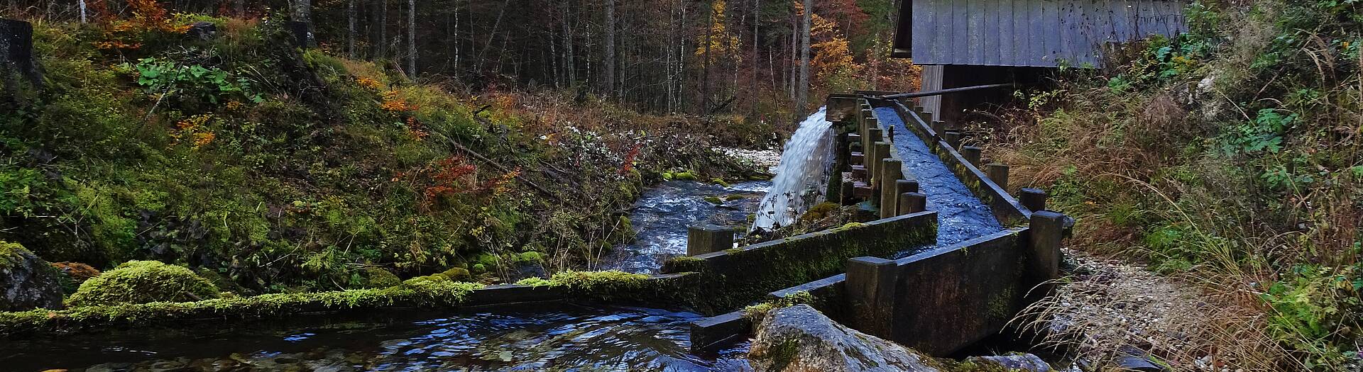 Herbstspaziergang durch den Hajnžgraben, Zell-Pfarre