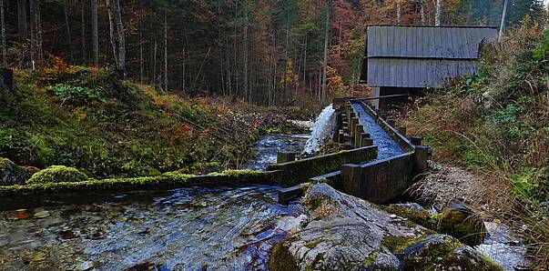 Herbstspaziergang durch den Hajnžgraben, Zell-Pfarre