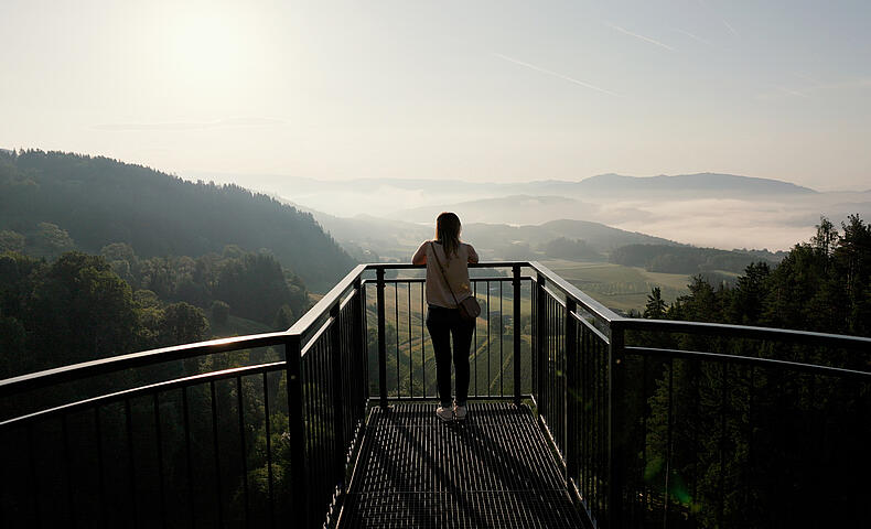 Ausblick ins Tal von der Burgruine Liebenfels 