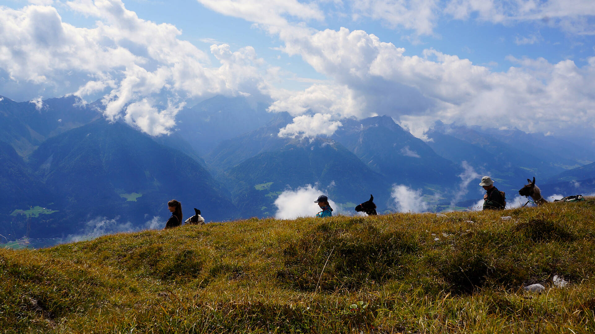 Lama-Trekking im Gailtal