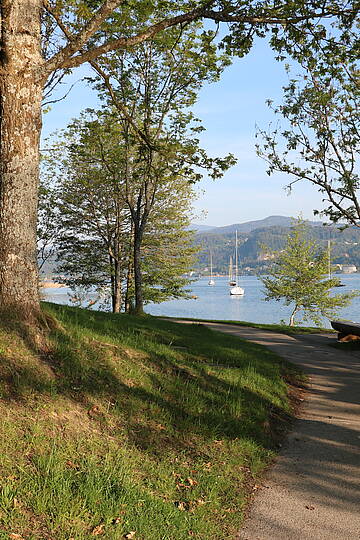 Freier Seezugang in der Teixlbucht am Wörthersee