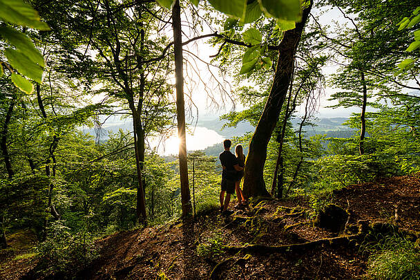 Waldstimmung am Slow Trail Kitzelberg am Klopeiner See 