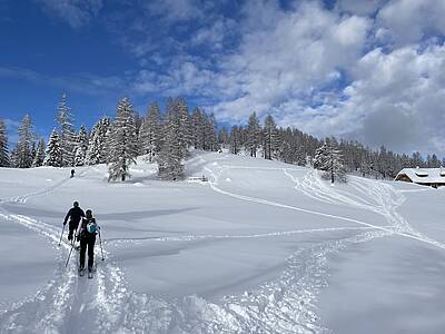Ogrisalm vom Bodenbauer