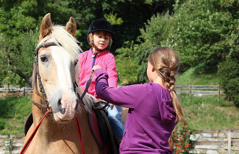 Biobauernhof Auernig Reiten macht gluecklich