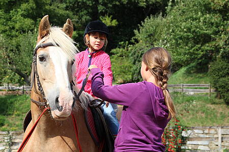 Tagesreitercamp im Gut Drasing