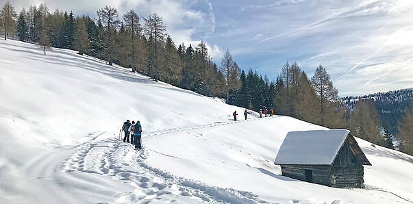 Schneeschuhwandern in Bad Kleinkirchheim