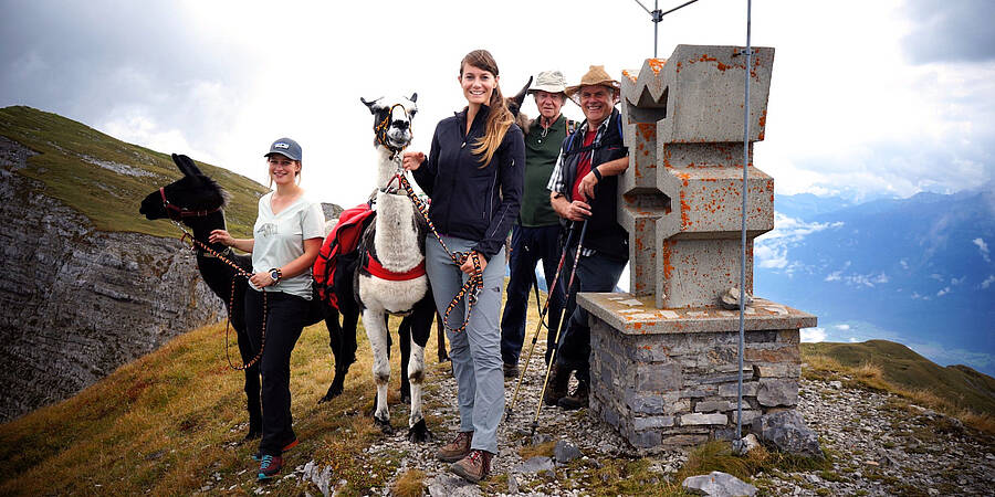 Lama-Trekking im Gailtal