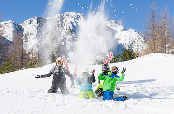 Familie Skierlebnis Petzen