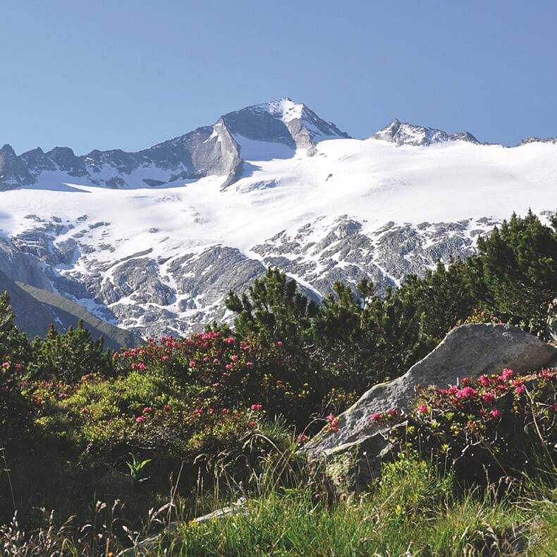 Hochalmspitze 