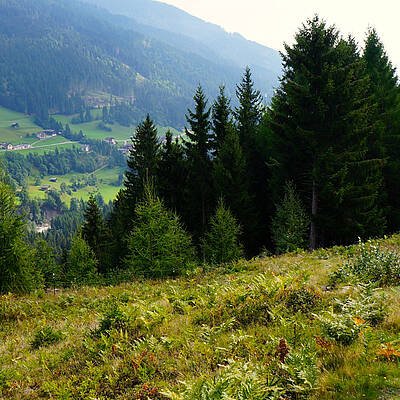 Brot- und Morendenweg im Lesachtal_Ausblick