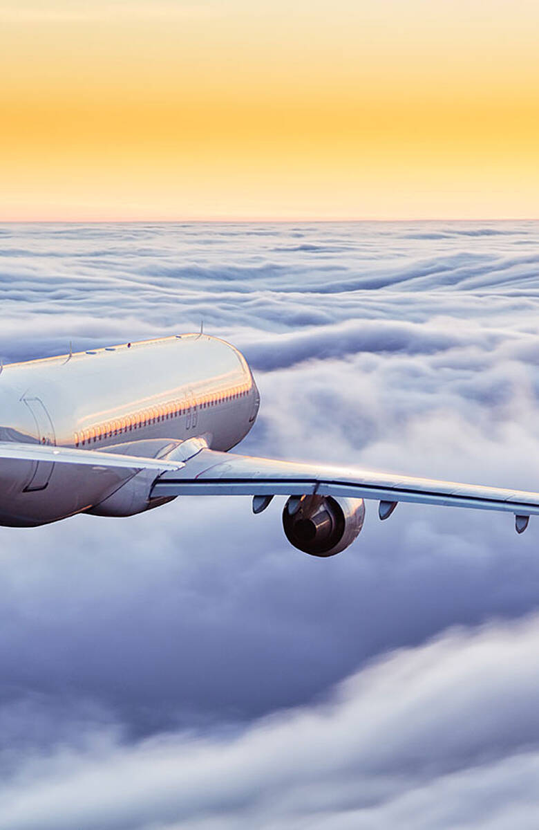 Flug shutterstock