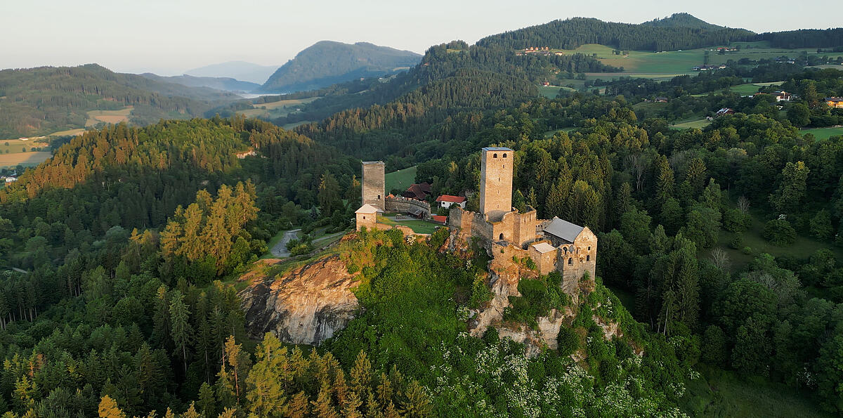 Blick auf die Burgruine Liebenfels