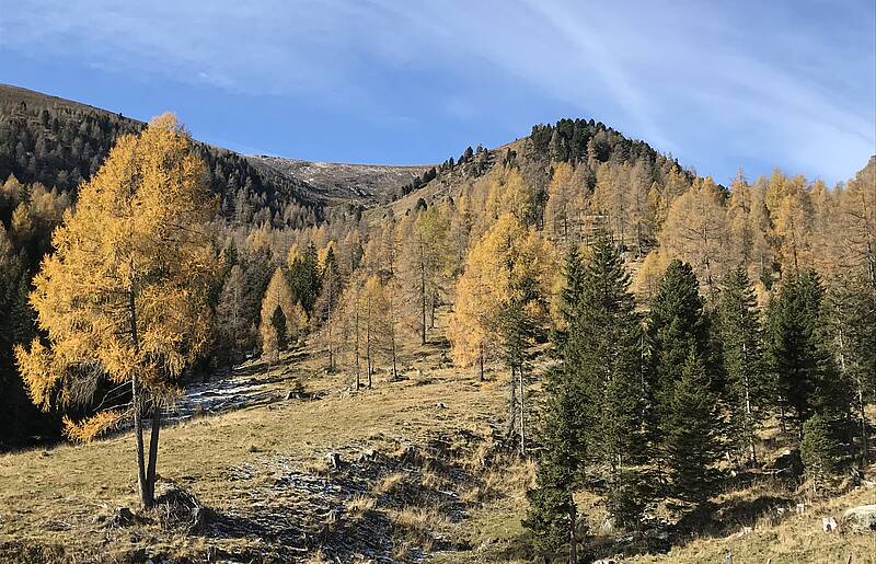 Wandergenuss am Falkert