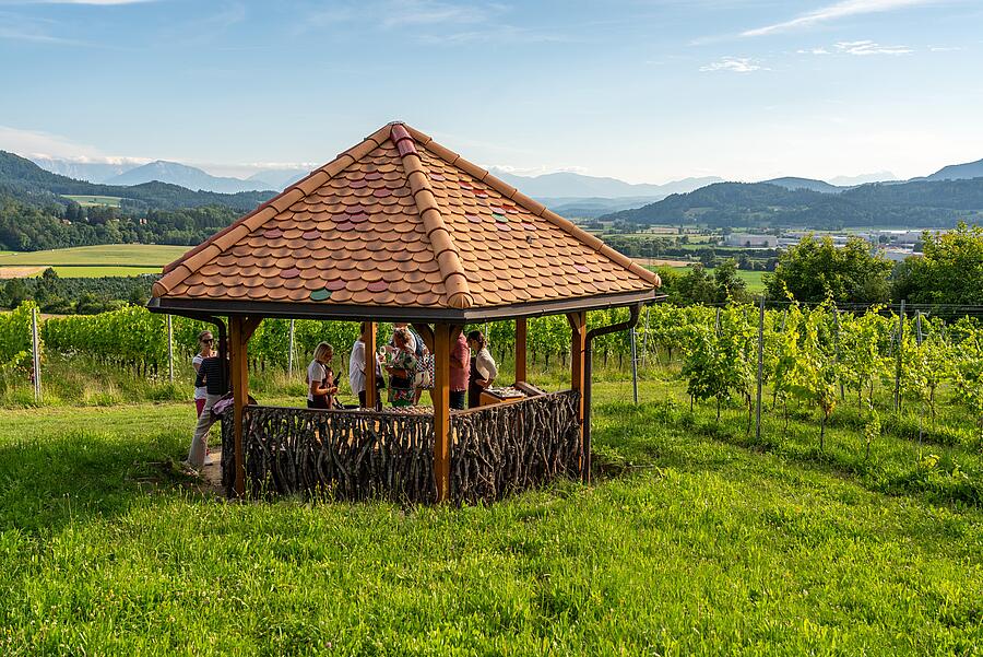 Vinum Virunum Wild Kitchen im Weingarten
