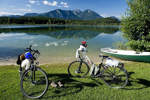 Mit dem Hund gemeinsam in den Urlaub und eine Radreise unternehmen