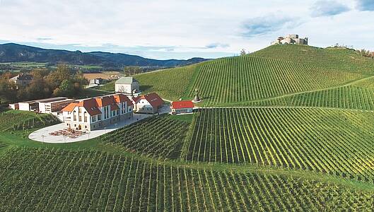 Boutique Hotel Weingut Taggenbrunn St. Georgen am L&auml;ngsee