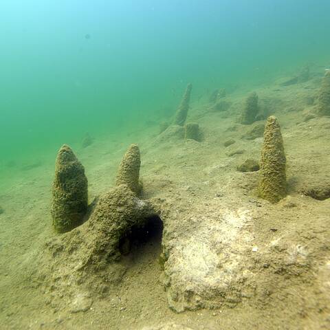 Prähistorische Pfahlbauten im Keutschacher See