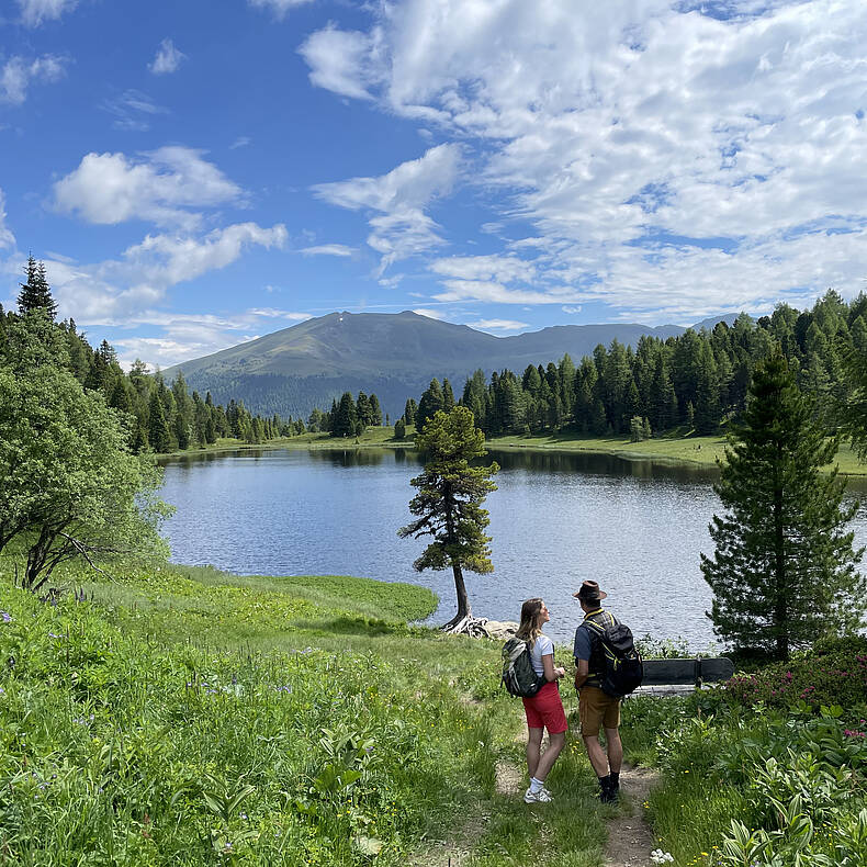 3 Seen Wanderung auf der Turracher Hoehe mit Blick auf den Schwarzsee