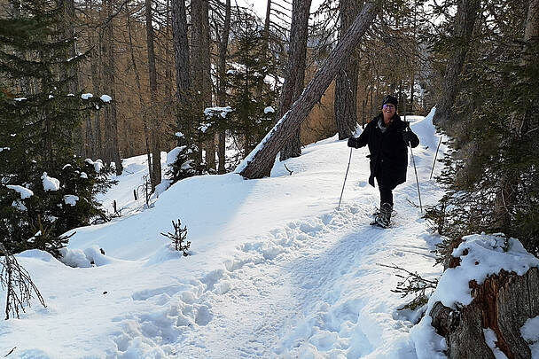 Schneeschuhwandern in Bad Kleinkirchheim