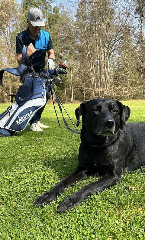 Hund und Golfer auf Wiese