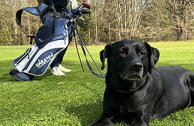Hund und Golfer auf Wiese