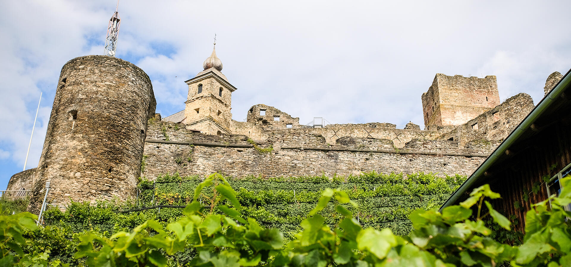 Ansicht der Burg Glanegg mit ihren alten Steinmauern, davor Reben im Weingarten.