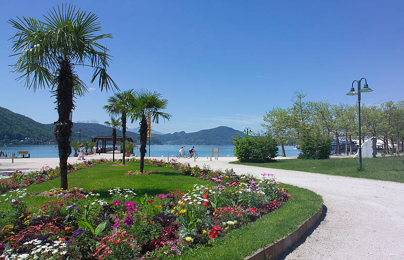 Frühling am Wörthersee