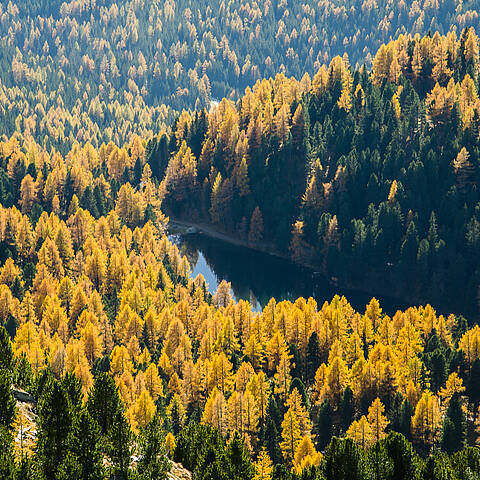 Blick auf den Gruensee in den Nockbergen im Herbst