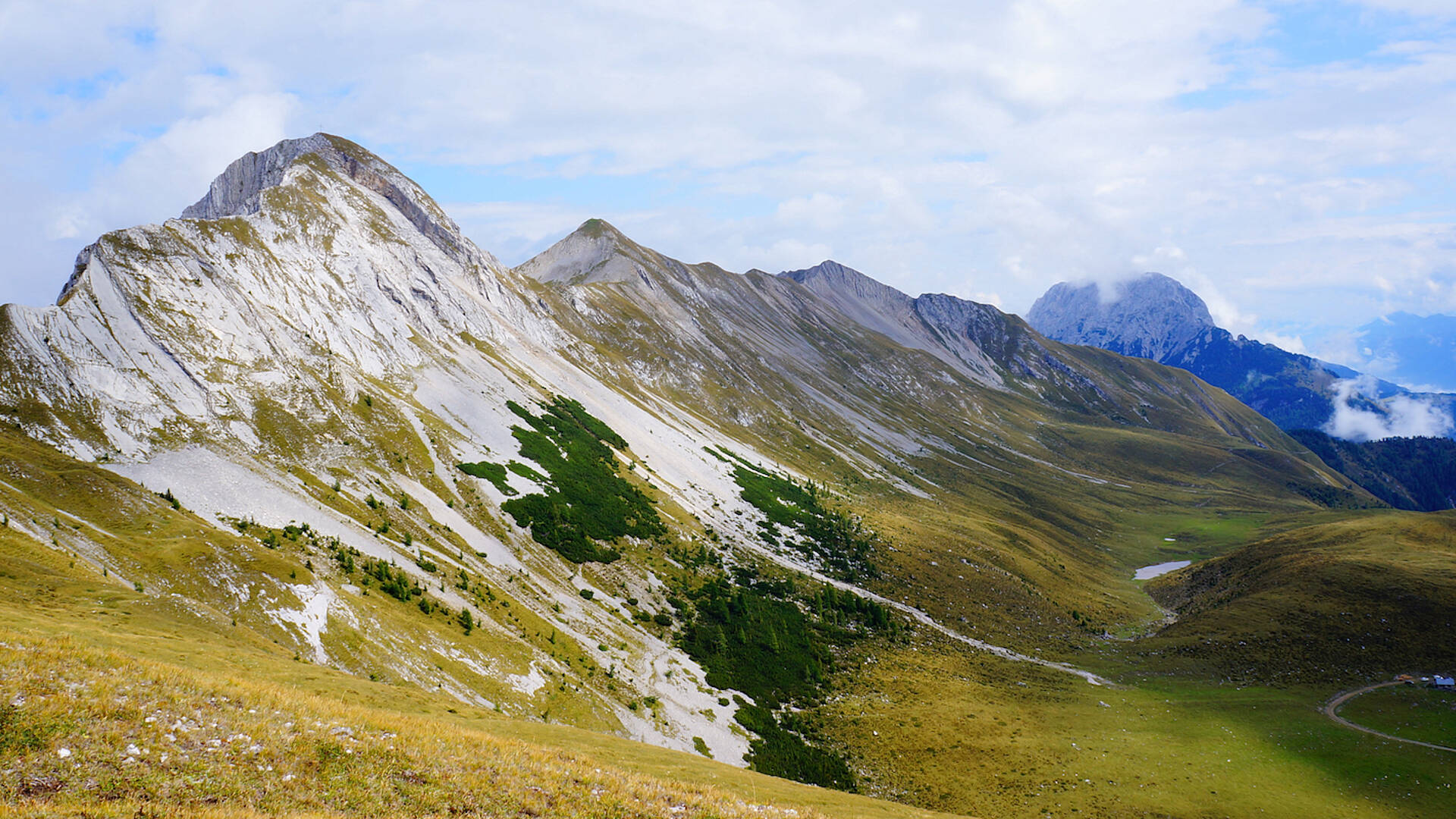 Lama-Trekking im Gailtal