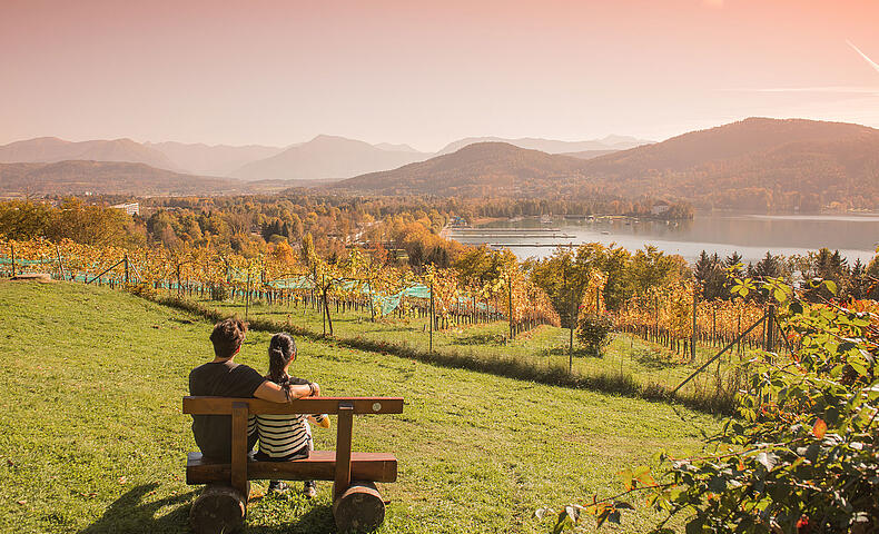 Herbst am Weinberg am Woerthersee genießen 