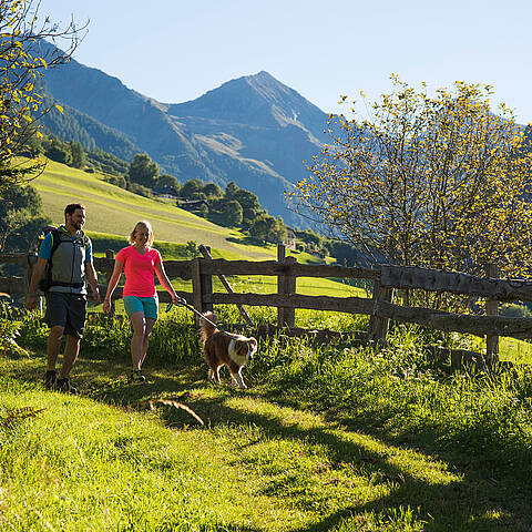 Wandern mit Hund im Nationalpark Hohe Tauern