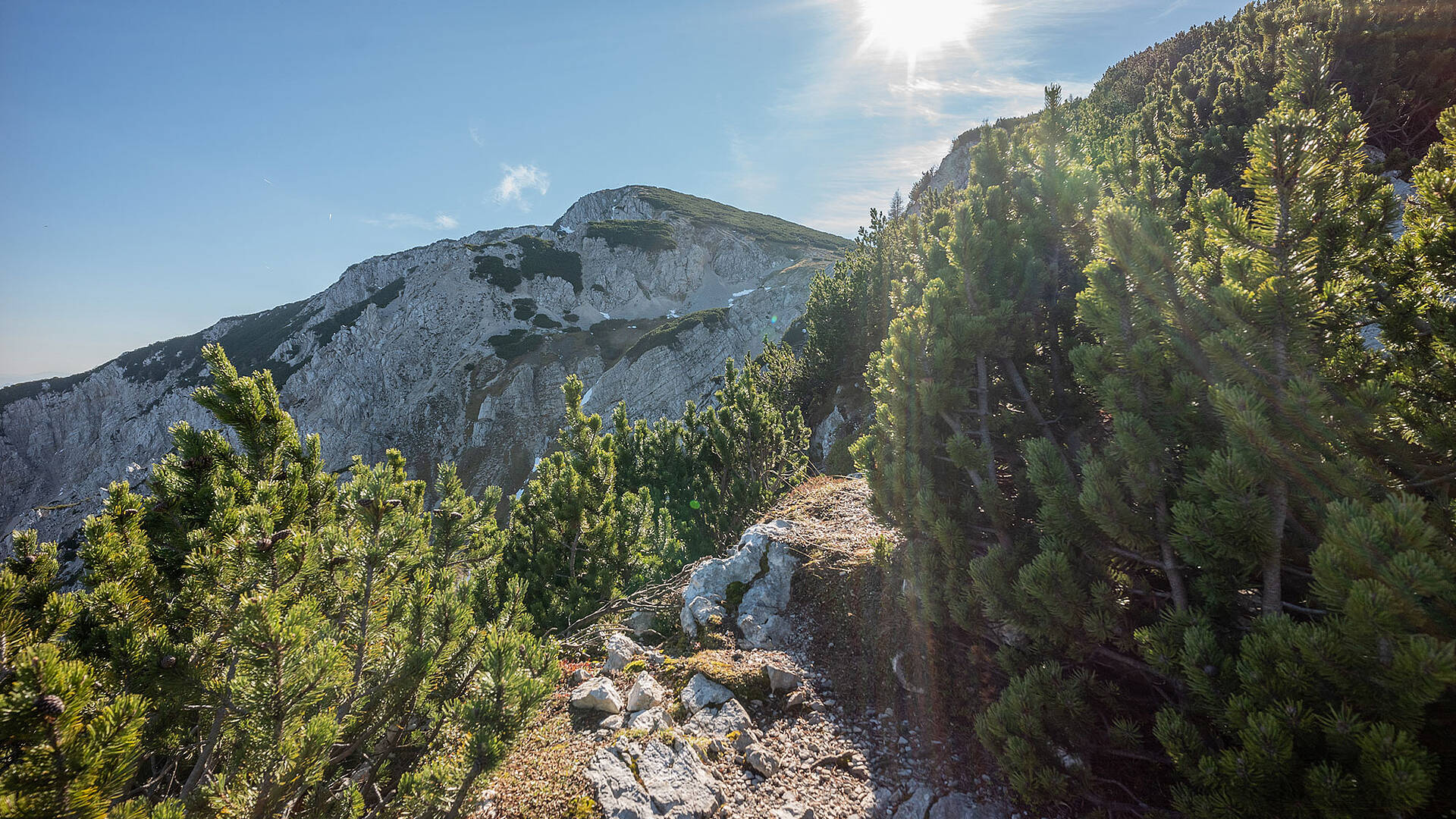 Herbstwandern auf der Petzen 