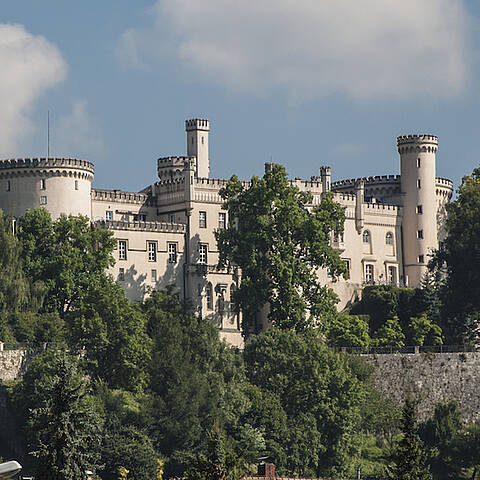 Social Wolfsberg Schloss