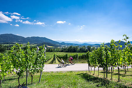 Mittelk&auml;rntner Weinradtour