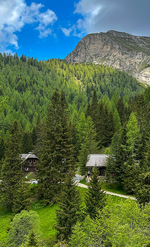 Das Erlacher Haus liegt in der Natur umgeben von Wäldern und Nocken.